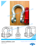 US Type Drop Forged Shackle G-2130