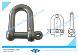 Commercial Type US Type D Shackle