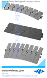 Steel or Plastic Flat Top Chain, Straight or Curved, Customized